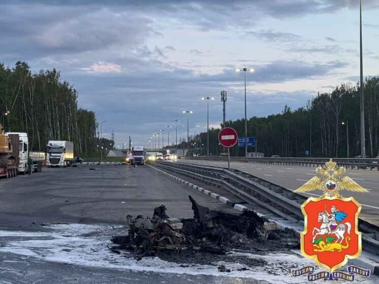 Легковушка влетела в отбойник и загорелась на трассе в Подмосковье