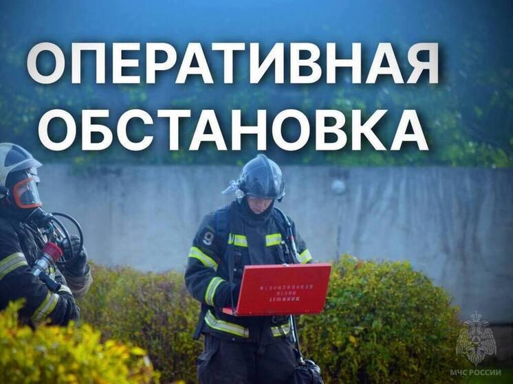За сутки МЧС выезжало на пять ДТП и два пожара в Тверской области