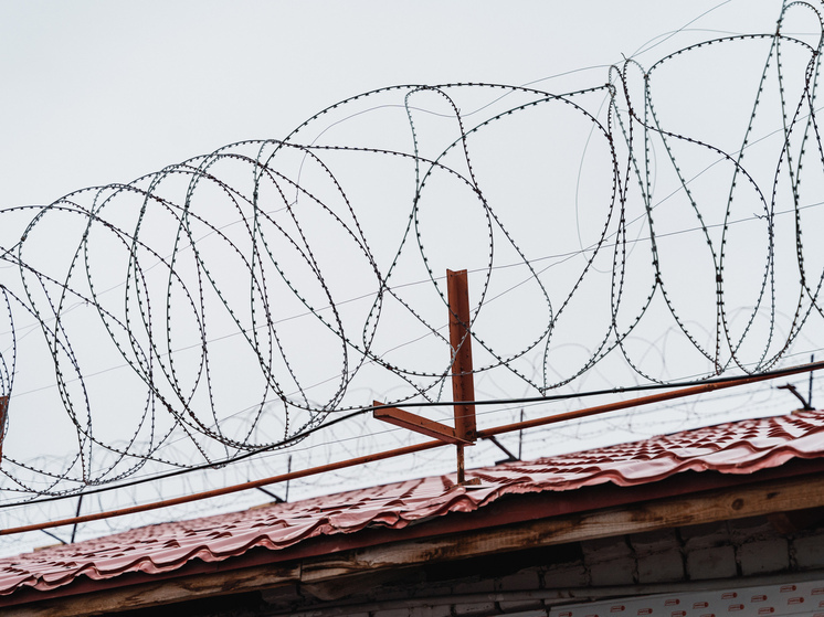 В Тверской области мать оставила своего сына без средств к существованию: ее отправили к колонию