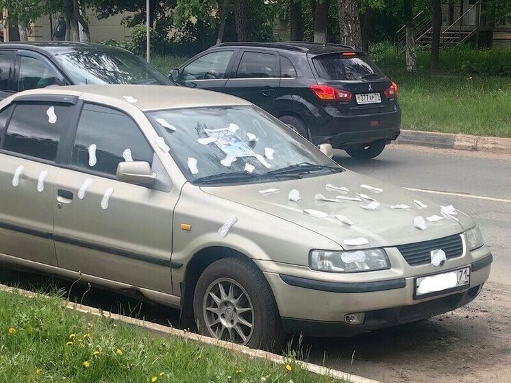 В Щекине авто местного жителями обклеили прокладками и обвинили в неуплате алиментов