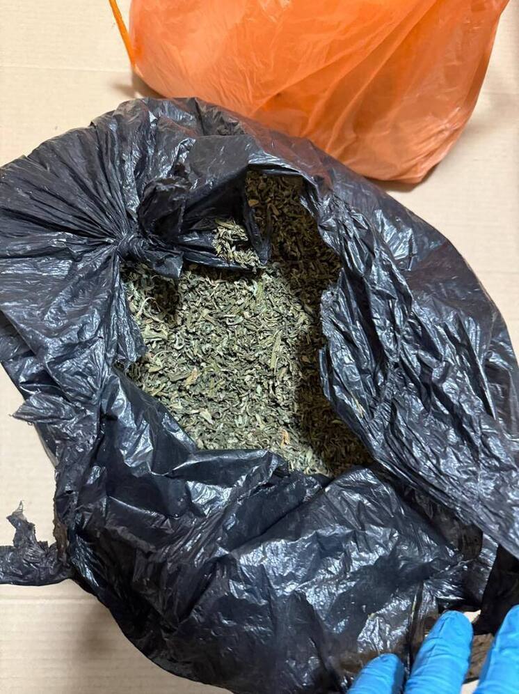 Жительница Кировского района получила срок за хранение наркотиков