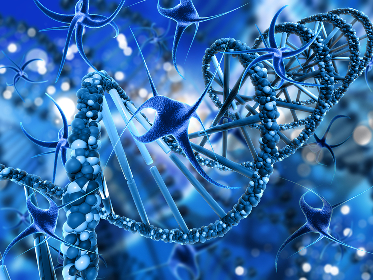 Как 90-е отразились на наших генах: выводы российской науки