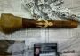 Не так давно Федеральная таможенная служба сообщала о задержании студента, пытавшегося отправить за рубеж посылку с древними окаменелостями