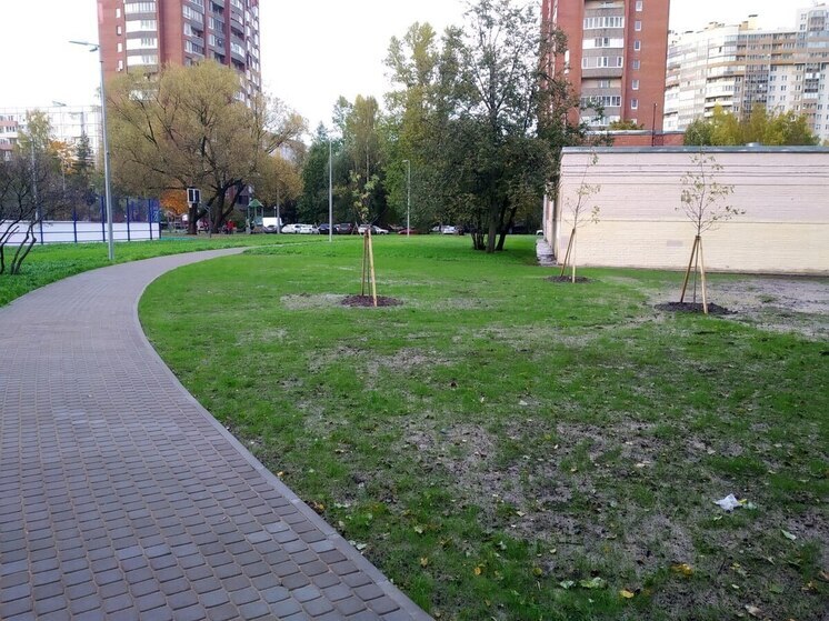 В петербургских дворах обновят асфальтное покрытие и установят детские площадки