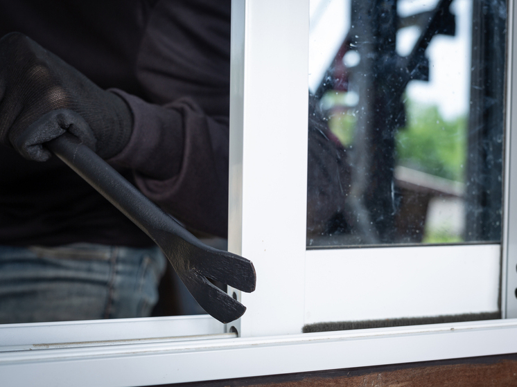 «В масках и с проводом»: брянцы пошли на ночное ограбление знакомой