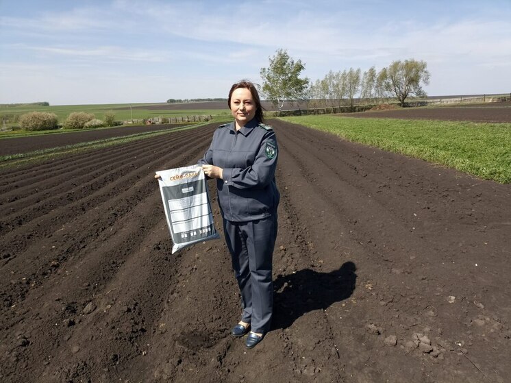 На землях ЛПХ в Яльчикском округе выявлены очаги картофельной нематоды