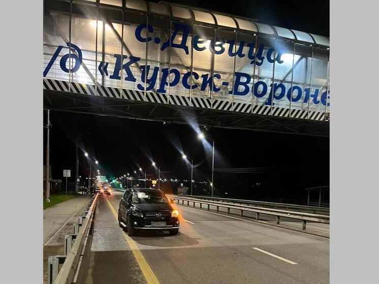 19-летний водитель сбил насмерть пешехода под Воронежем