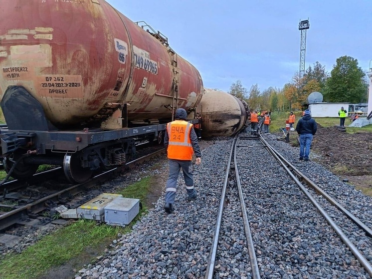 В Дно направили в суд дело о халатности сотрудника после схода вагонов с рельсов