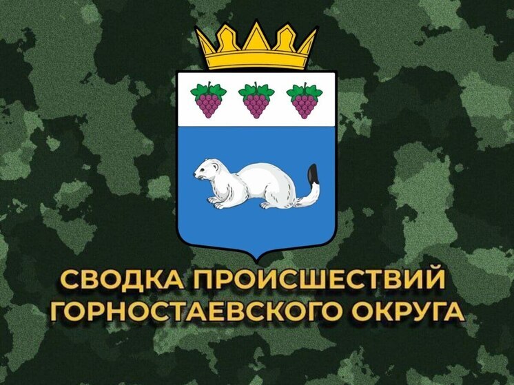 В Горностаевском округе за сутки зафиксировано 12 артиллерийских ударов