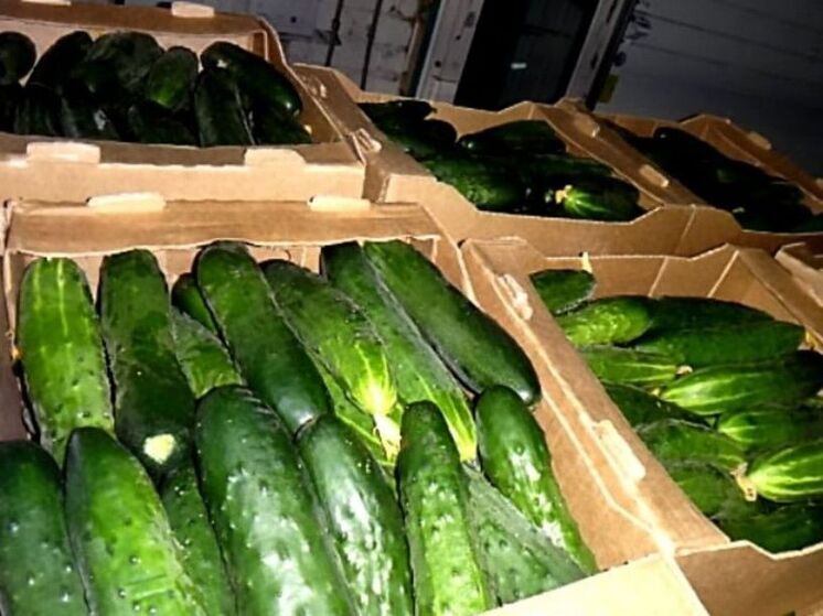 На Брянщину не пропустили партию продуктов без документов