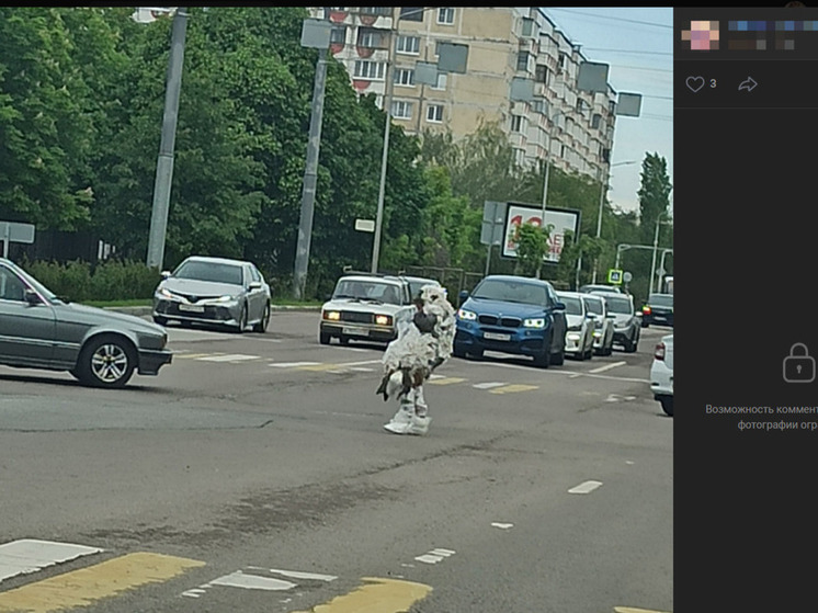 Белгородка попросила властей помочь женщине в пакетах с Харгоры