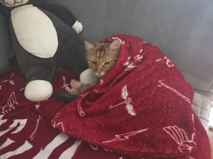 Приморье ожидает похолодание и грозы в выходные из-за высотной ложбины