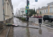 20 мая Самару накрыл мощный ураган, поваливший десятки деревьев