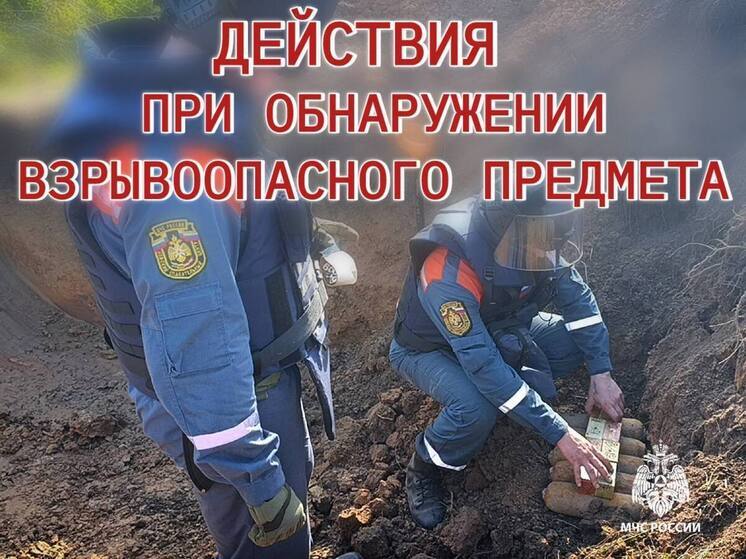 Найденные в Псковской области взрывоопасные предметы подсчитали