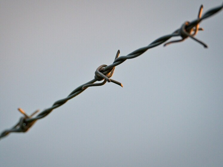 Жителя Воронежа приговорили к 17 годам за попытку теракта в Белгороде