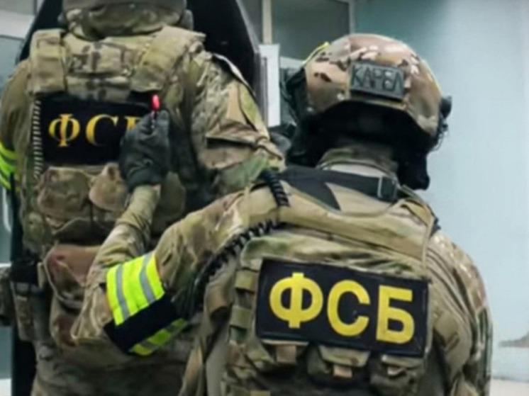 ФСБ задержала жителя Татарстана, готовившего диверсию с БПЛА на заводе Казани