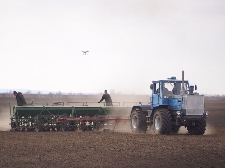 Посевная овощей открытого грунта в Приангарье в полтора раза опережает уровень прошлого года
