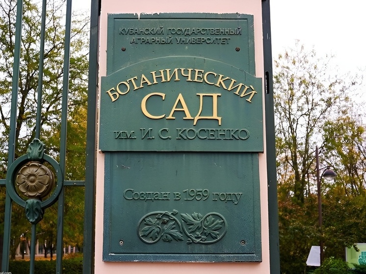 В Краснодаре до конца рабочей недели закрыли Ботанический сад имени И.С. Костенко из-за непогоды