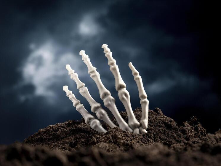 Кровавые забавы знати: Археологи раскрывают тайны средневековой Европы