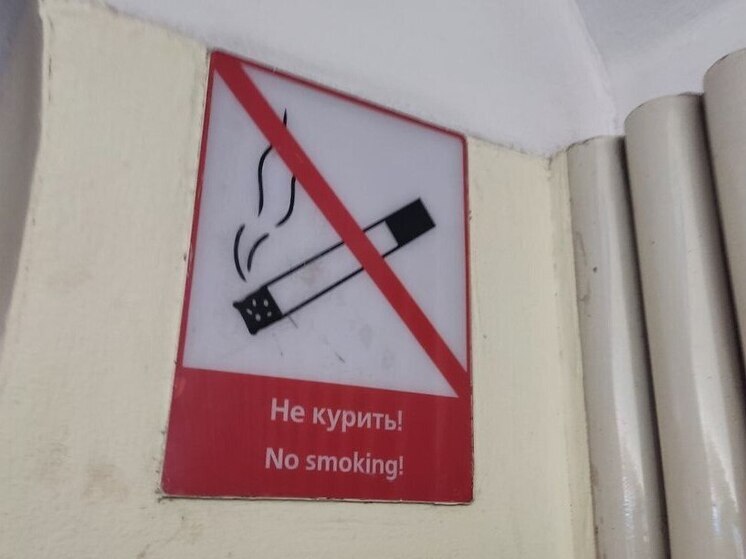 В Петербурге пенсионерка скупила 800 пачек незаконных сигарет для своего бизнеса