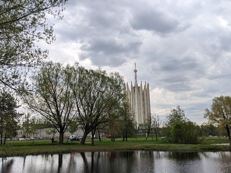 Прокуратура Петербурга нашла опасные для катания карусели в парке «Сосновка»