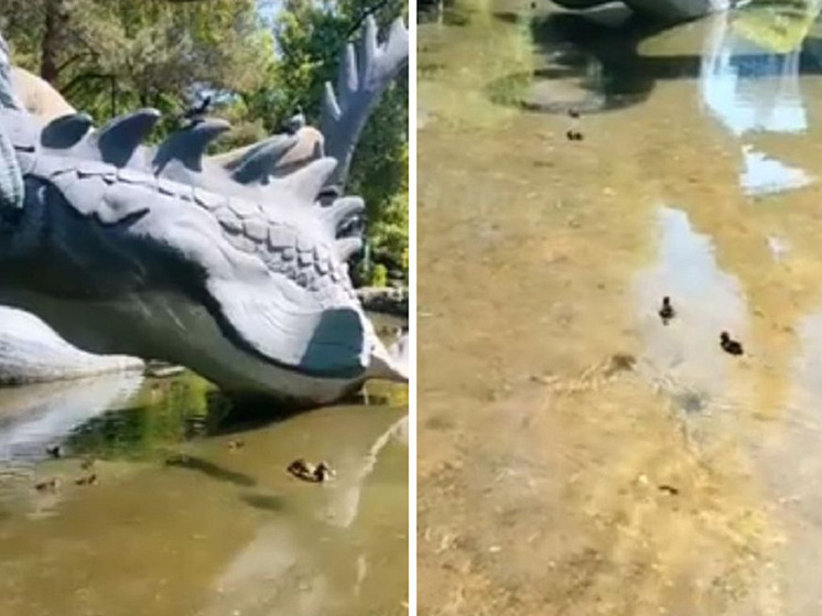 На территории Новосибирского Зоопарка появились первые утята