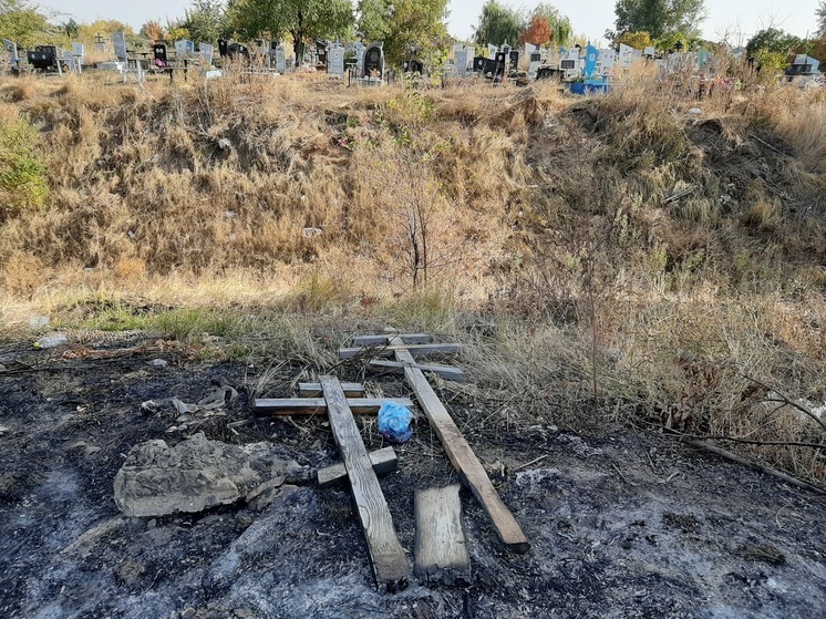 Под Саратовом людей хоронили на участках сельхозназначения
