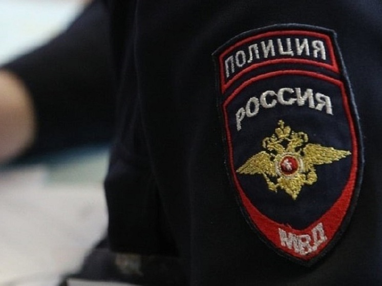 В Новомосковске раскрыта кража 130 тыс из кассы торгового павильона