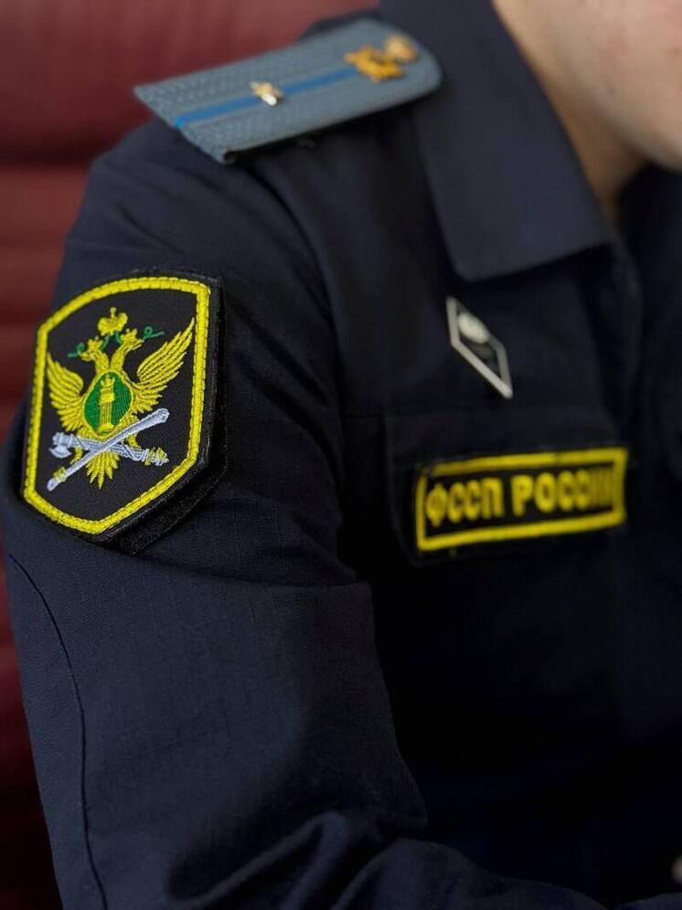 В Калмыкии продали на торгах автомобиль в счет задолженности по алиментам