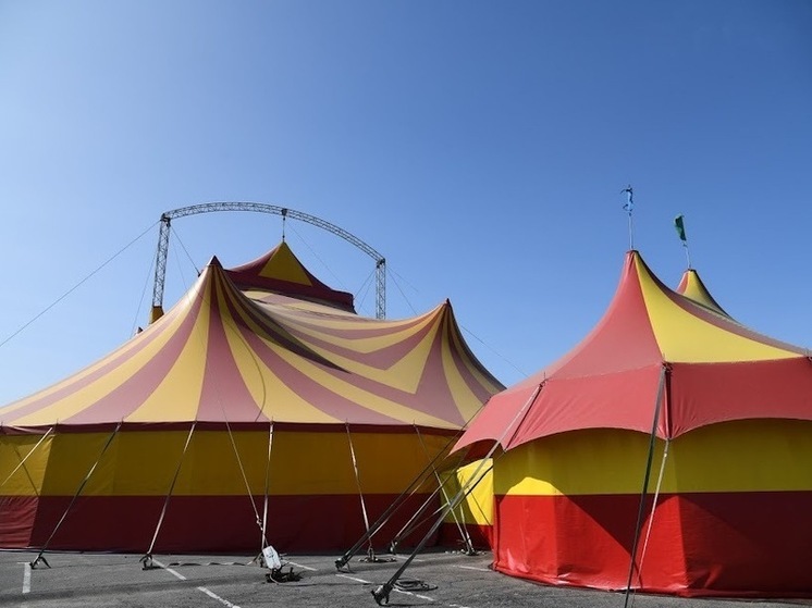 В Волгограде из-за сильного ветра рухнул купол цирка шапито