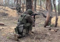 В мае бойцы группировки «Центр» взяли под контроль населенный пункт на Красноармейском направлении - село Новоалександровка в ДНР