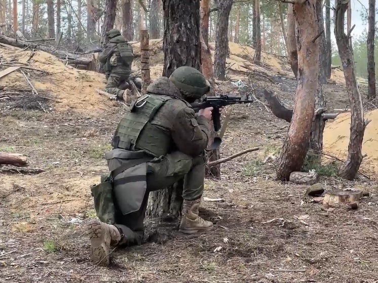 В мае бойцы группировки «Центр» взяли под контроль населенный пункт на Красноармейском направлении - село Новоалександровка в ДНР