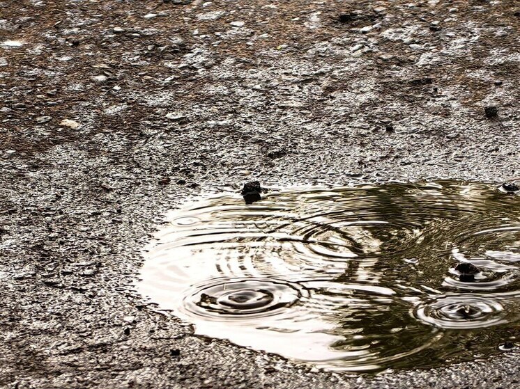 Хакасию навестят дожди, грозы и жара