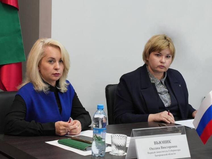 Замгубернатора Запорожской обсудила с правительством региона реализацию национальных проектов