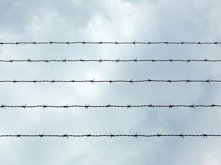 Почти три года проведет за решеткой воронежская воровка дорогого оборудования