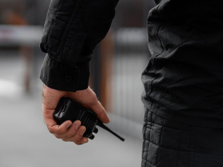 Глава фракции «Фидес» Мате Кочиш заявил, что венгерские спецслужбы обнаружили двух украинских шпионов