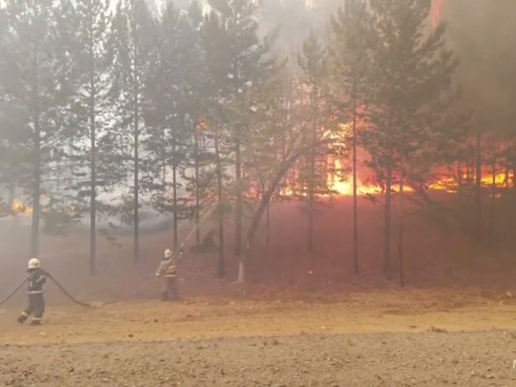 Верховой пожар остановили в километре от села Татаурово в Забайкалье