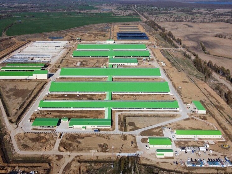 В Тверской области газифицировали крупный молочный комплекс