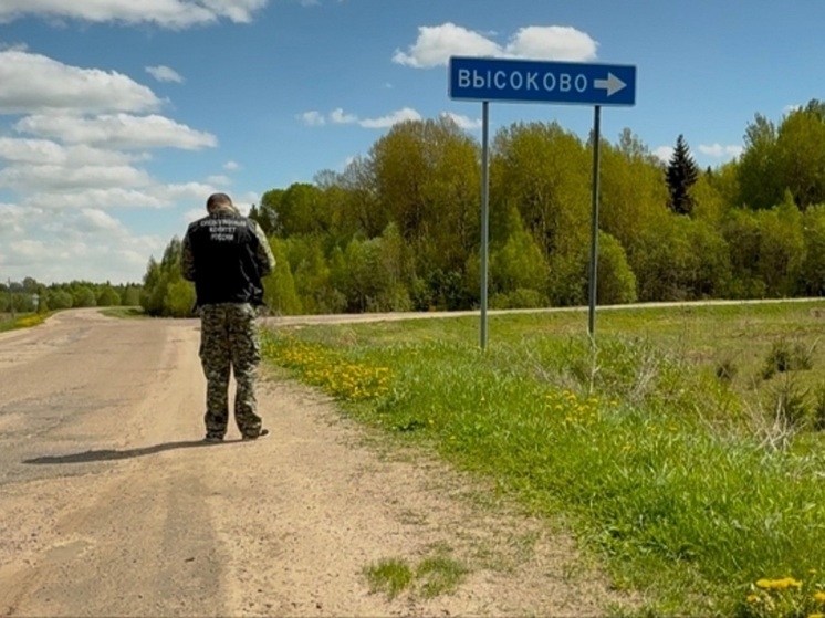 СК заинтересовался отвратительным состоянием одной ярославской трассы