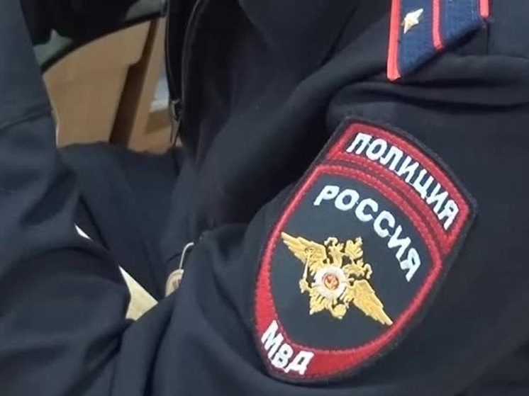 Житель Ефремова арестован на 7 суток за экстремистские посты в соцсети