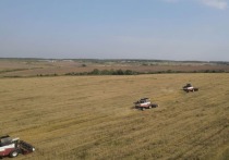 С 8 по 12 октября в России впервые состоится Всероссийский агродиктант — образовательная акция, приуроченная ко Дню работника сельского хозяйства и перерабатывающей промышленности