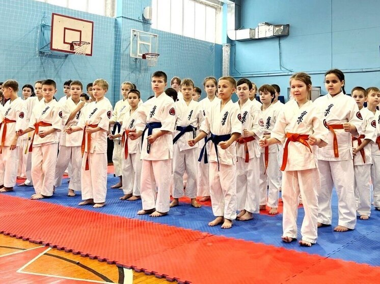 В Чувашии при поддержке Олега Николаева запустят проект «Киокушин – в школу»