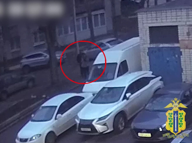 Житель Липецка задержан полицией за содействие обману семьи участника СВО