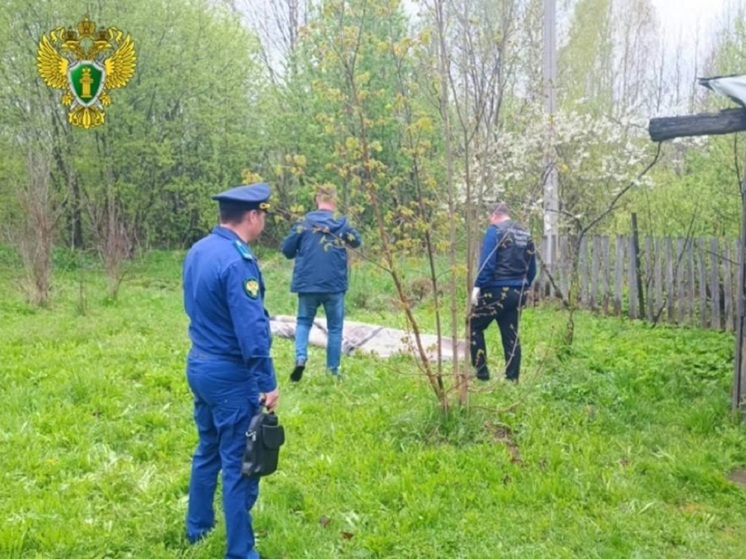 Костромская жуть: в Вохме задержали подозреваемого в убийстве 65-летней женщины