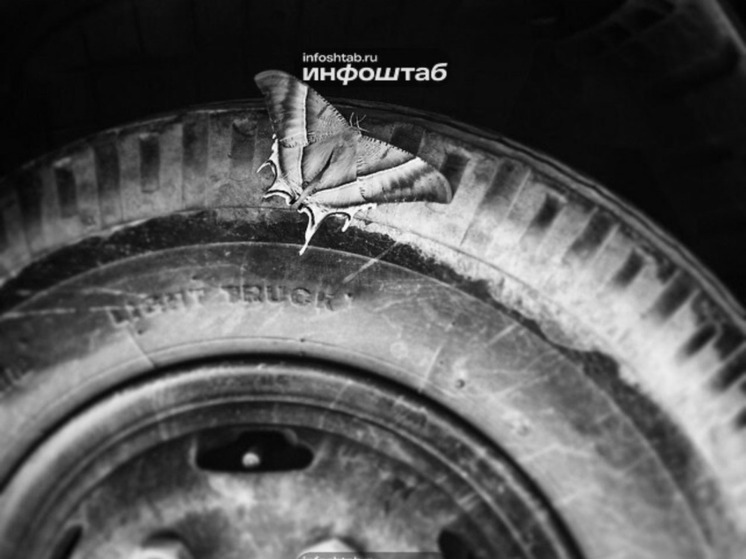 Астраханцы не смогут проехать по некоторым улицам в течение суток