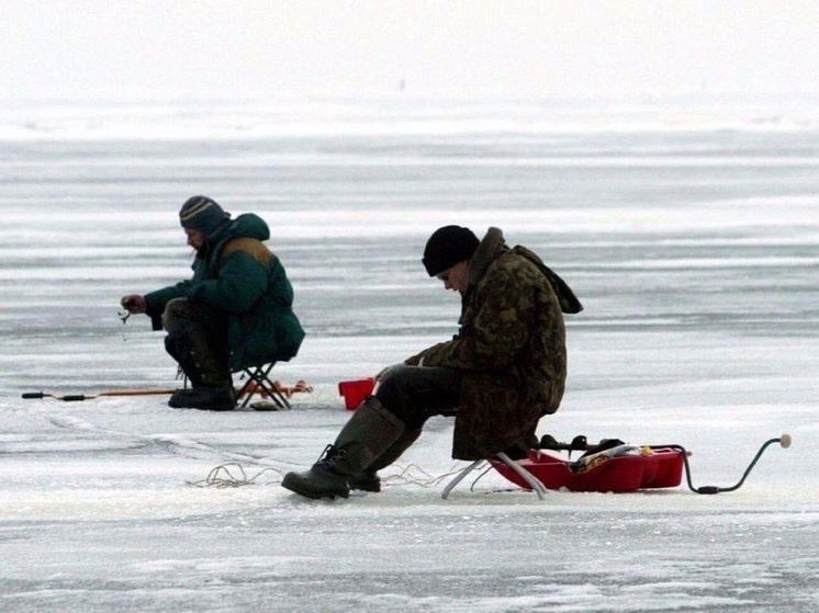 Рыбу жителям НАО рекомендуют ловить в магазине
