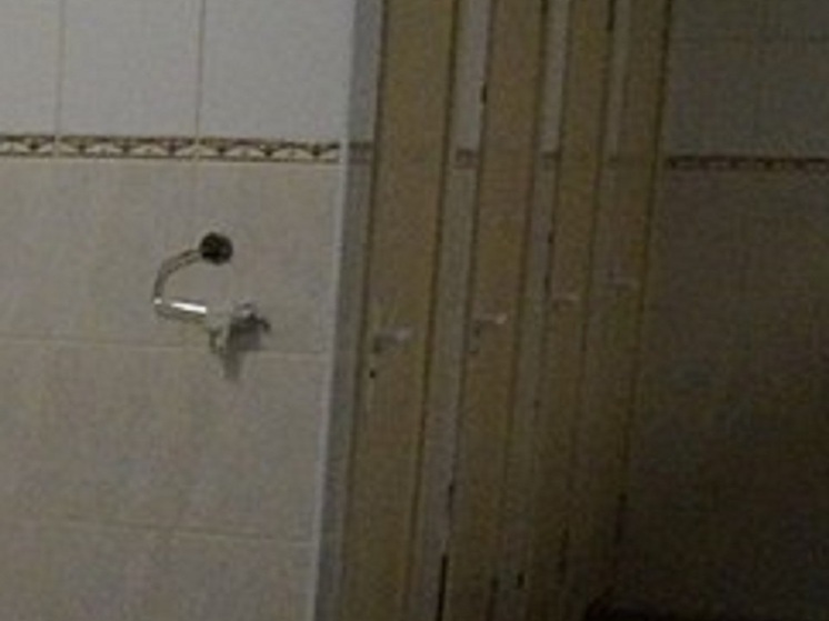 Одиннадцатиклассники стали устраивать торжественные церемонии передачи туалета