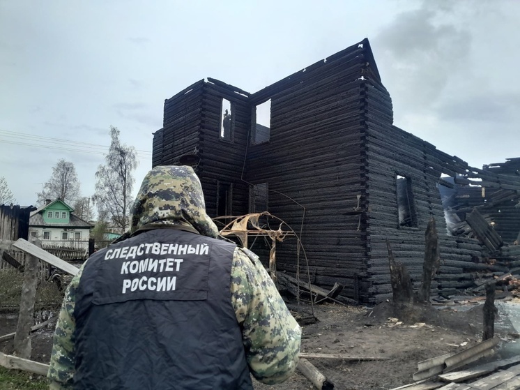 Трое погибли при пожаре в Емецке: возбуждено уголовное дело