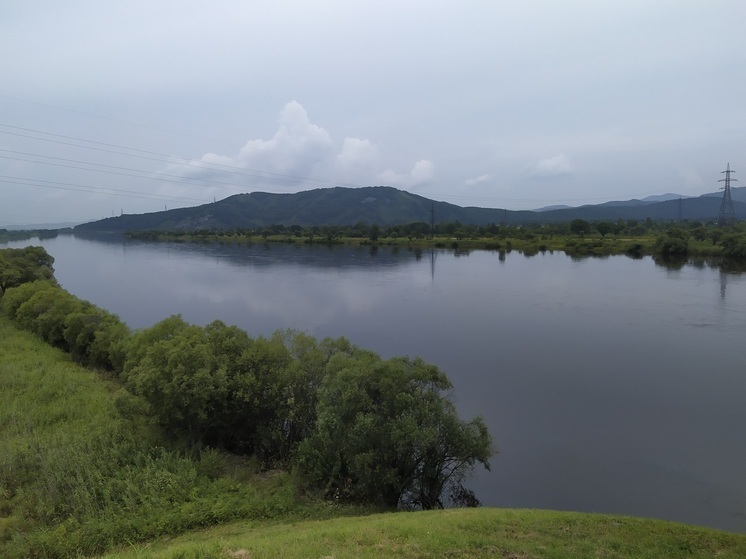 Прокуратура начала проверку по факту осушения старицы реки Уссури в Лесозаводске