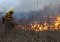 Прямая угроза селу Татаурово в Улётовском округе Забайкальского края на утро 22 мая снята, но огонь подходил к домам на расстояние 200 метров